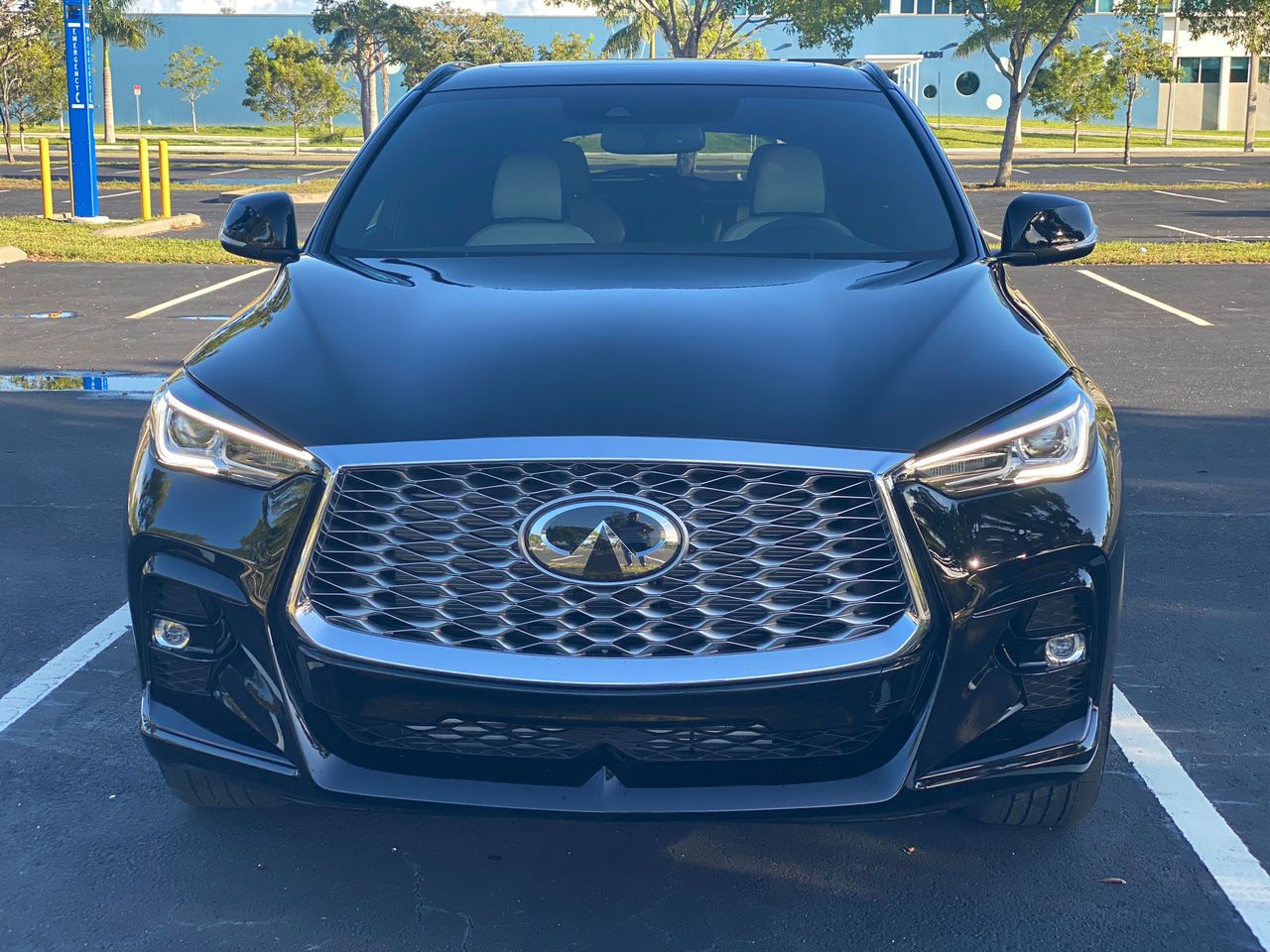 2023 Infiniti QX55 Luxury AWD Automatic black